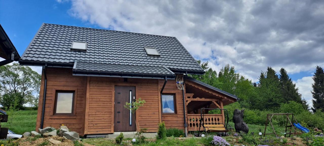 Czarny Potok Czarna (Bieszczady)
